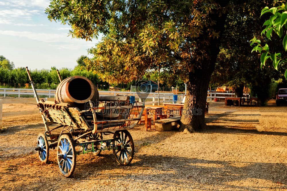 Haflinger Çiftliği